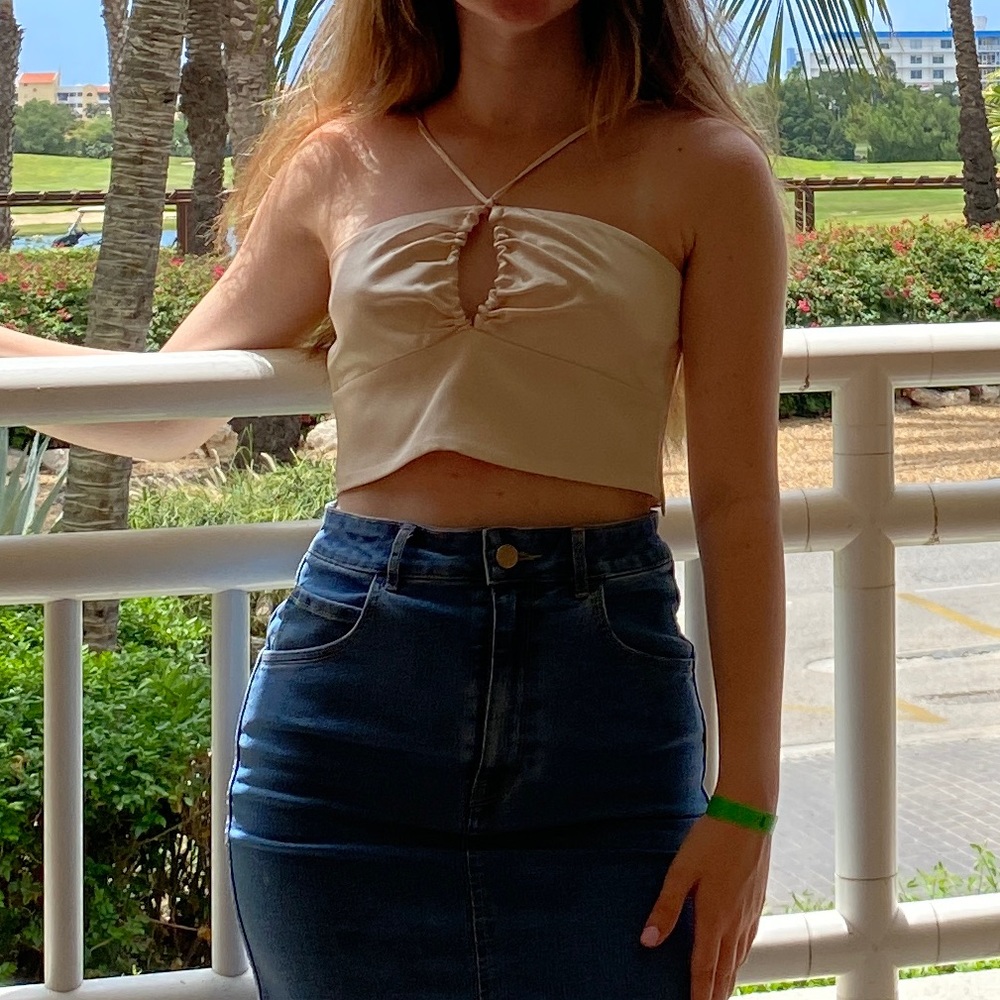 Zara Cut Out Satin Effect Crop Top
